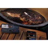 thumbnail of HerQs – Pin Probe – Grillthermometer – Fleischthermometer – Kabellose Sonden – Grillthermometer mit App – Bluetooth