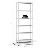 thumbnail of PROREGAL Fachbodenregal Schraubsystem | Grundregal | HxBxT 250x100x30cm | 6 Ebenen | Fachlast 125 kg | Beidseitig nutzbar | Lichtgrau