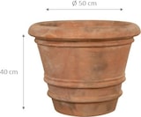 thumbnail of Biscottini Vasi per fiori 50x50X40 cm - Vaso rotondo in Terracotta - Vasi da interno - Fioriera esterno da giardino Made in Italy - Vaso balcone tondo