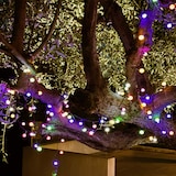 thumbnail of Lumisky BILLY Solar-Lichterkette, 100 Glühbirnen, 11 m Plastik Bunt