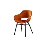 thumbnail of KAWOLA Stuhl ZAJA Esszimmerstuhl Velvet cognac