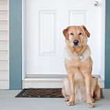thumbnail of Relaxdays Fußabtreter Gusseisen mit Bürsten, HBT ca. 4 x 73 x 42 cm, Schuhabstreifer aus Metall im Jugendstil, bronze