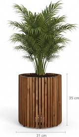 thumbnail of Pflanzgefäß Akazienholz D31 x 35 cm Dunkelbraun