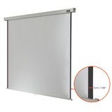 thumbnail of celexon Leinwand Rollo Professional 280 x 280 cm - 156`