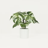 thumbnail of LIGNE DÉCO Monstera artificiel variegata toucher naturel 35cm