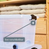 thumbnail of Aufbewahrungsbox Anzio 20 l 3er Set mit Rollen