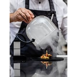 thumbnail of Fumoir pour Aliments - Lacor