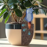 thumbnail of Relaxdays Tonkegel 15er Set, Vogel-Design, Wasserspender für Pflanzen, autom. Gießen, Ton & Kunststoff, Gießkegel, bunt