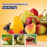 thumbnail of Edialux Green Choice - Armadilha Para Moscas Da Fruta, 2 X 15Ml