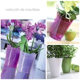 thumbnail of Prosperplast - Coubi Orchideen Pflanztopf Transparent 1,1L, Maße 125x125x147mm