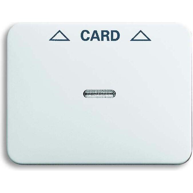 Busch-Jaeger Zentralscheibe stws gl 1792-24G-101 2CKA001710A3297