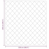 thumbnail of vidaXL Sommerdecke Taupe 220 x 240 cm Mikrofaser