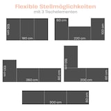 thumbnail of Multifunktionstisch, 3-teilig, Alu, 3 x 100 cm x 60 cm, Tapeziertisch, pro Tisch 4-fach höhenverstellbar, Raburg Olli