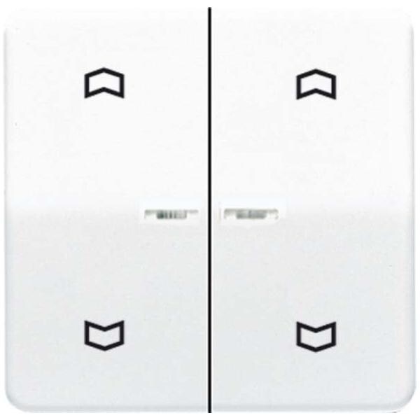 Jung Wippe Symbole/Lichtl.aws CD 595 KO5MP WW CD595KO5MPWW