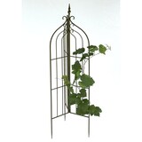 thumbnail of DanDiBo Rankhilfe Garten Metall Schwarz 120033 Rankgitter Blumen 132 cm Kletterpflanzen Rosen Bodenstecker Kletterhilfe Blumenhalter Ranksäule Zaun