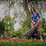 thumbnail of Einhell Akku Laubsauger VENTURRO 18/210 Laubbläser 2 in 1 Gerät