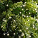 thumbnail of LED Compact Beleuchtung Outdoor L.1600cm 750L grün/warmes weiss
