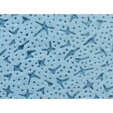 thumbnail of SemyTop Semy Profi Tuch in Spenderbox - blau - 32 x 38 cm - 6 x 100 Putztücher