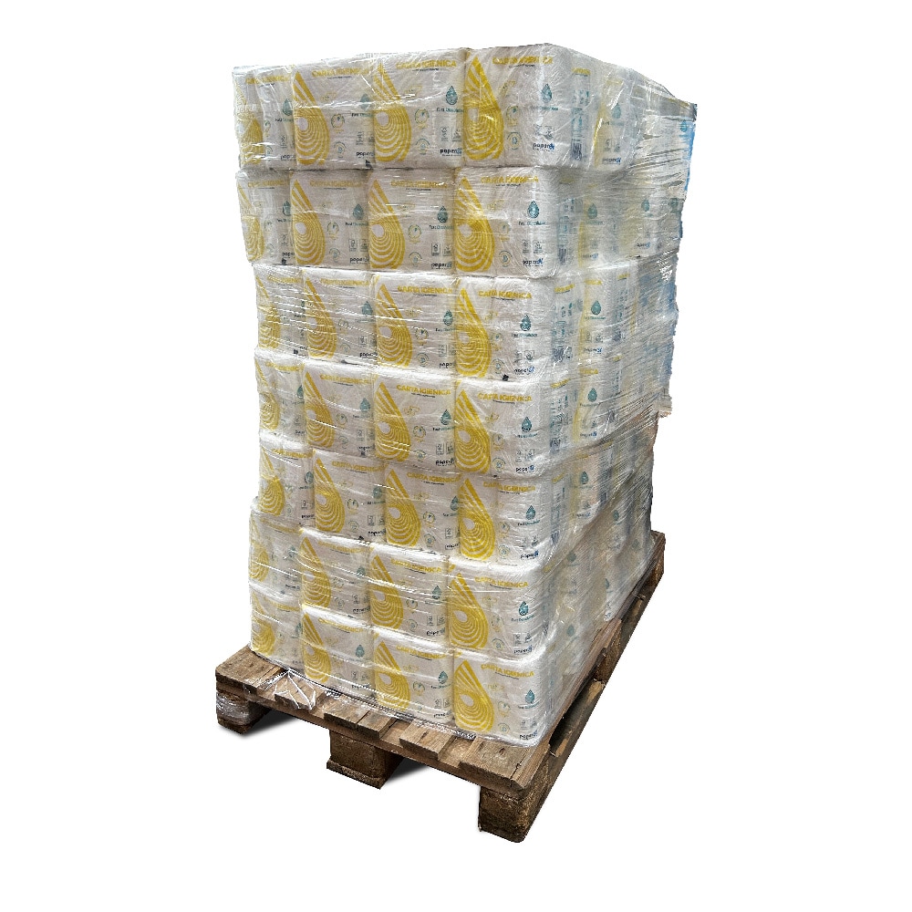 Bancale carta igienica idrosolubile 96 confezioni da 12 rotoli Fast Dissolution