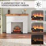 thumbnail of Elektrischer Kamineinsatz BALDERIA Lily - Feuerstelle - dunkles Holz