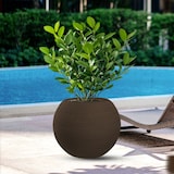 thumbnail of Divina Garden -  Harzvase für Pflanzen im Innen- und Außenbereich, rundes Kugeldesign, D.40x33h, Botticelli Brown