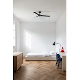 thumbnail of CRUISER S Schwarzer DC-Lüfter