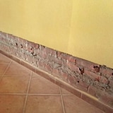 thumbnail of Capirsec Imperméabilisation contre les remontées capillaires (25l + 1canule) liquide injectable qui empêcheles remontées capillaires dans les murs