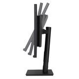 thumbnail of ASUS ProArt PA328QV 80.1cm (16:9) WQHD HDMI DP