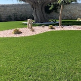 thumbnail of Tapete de gramado sintético grama falsa artificial 25 MM 1X5 MT 48706