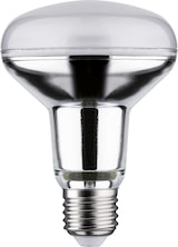 thumbnail of Paulmann Standard 230V LED Reflektor R80  730lm 10W 2700K  Silber 29055