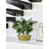 thumbnail of Jardinera rectangular de plástico brillante Teraplast Sunrise cm 36 - Azul vaquero