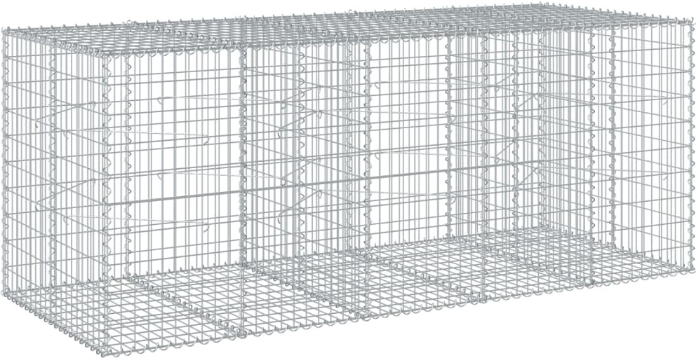 vidaXL Gabione mit Deckel 250x100x100 cm Verzinktes Eisen