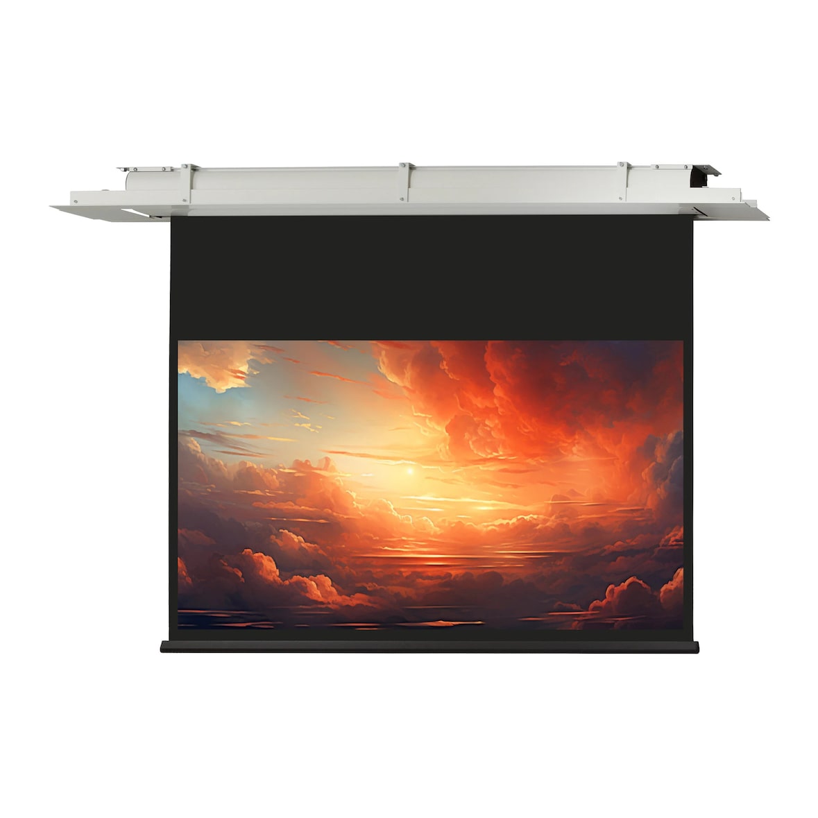 celexon Deckeneinbau Leinwand Motor Expert 250 x 140 cm