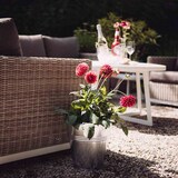 thumbnail of SIENA GARDEN   Eimer mit Holzgriff 10l, Stahlblech silber, verzinkt