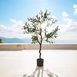 thumbnail of WellHome - Kunstolijfboom in zwarte pot 116cm