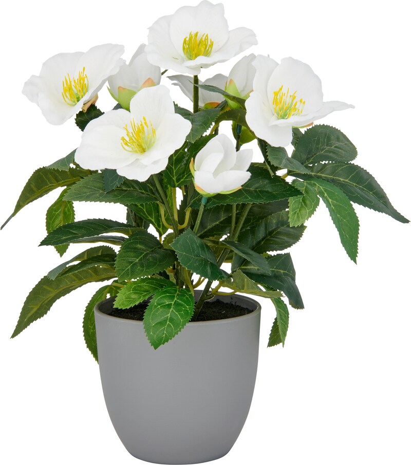 mobile_image