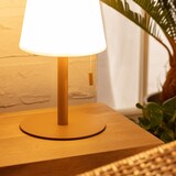 thumbnail of Ledkia Lámpara de Mesa LED Portátil para Exterior Aluminio con Batería Recargable Epinay Camel