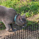 thumbnail of Relaxdays Dornengitter, Marder- & Katzenabwehr, BxT: 200 x 30 cm, Schutz für Beete & Pflanzen, mit 8 Erdankern, schwarz