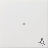 thumbnail of Gira Zentralplatte rws-gl 0674112