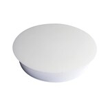 thumbnail of Exacompta 32000E 100x Schachtel mit 4 Stück Magnete, Ø32mm - Weiß