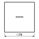 thumbnail of Jung Wippe alu AL 2990 KO5 AL2990KO5