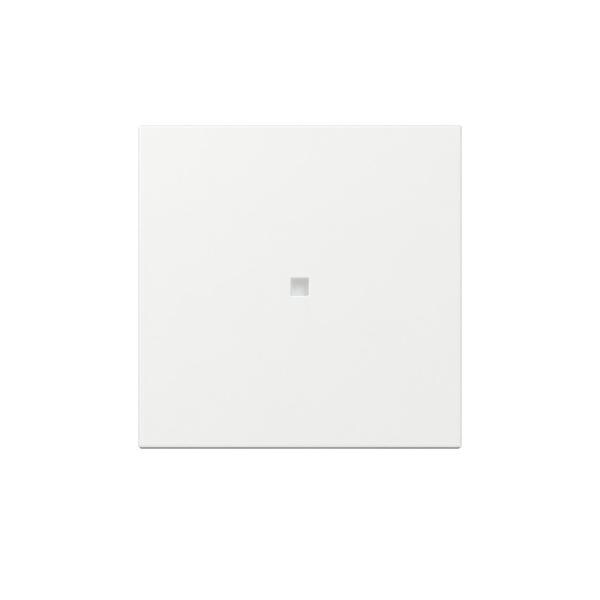 Gira Wippe gerade Kontrollf. 349003