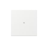 thumbnail of Gira Wippe gerade Kontrollf. 349003
