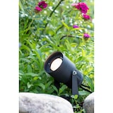 thumbnail of Garden 24 Strahler Schwarz 3W