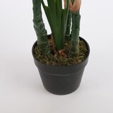 thumbnail of Mica Decorations Dieffenbachia - Kunstpflanze - H 120 cm
