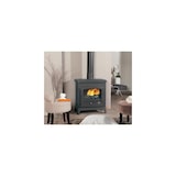 thumbnail of Poêle à bois vintage 389143ANTH