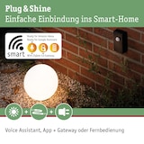 thumbnail of Paulmann Plug & Shine Controller Smart Home Zigbee 3.0 24V max. 75W Schwarz 93999