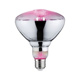 thumbnail of Paulmann Grow Green Edition Filament 230 V Réflecteur LED PAR38  200lm 6,5W 1300K  Pousse-plante 28737