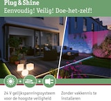 thumbnail of Paulmann Plug & Shine LED Lichtobjekt Tree   IP67 3000K 2W   Weiß 94185