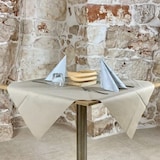 thumbnail of Nappe antitache TNT, 140 x 140 cm, lot de 25, beige